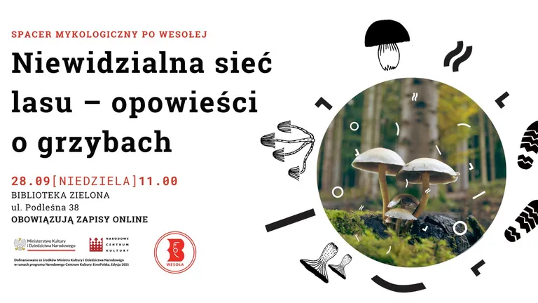 Niewidzialna sieć lasu - spacer mykologiczny po Wesołej