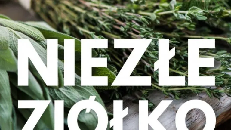 „Niezłe ziółko”. Warsztaty zielarskie dla dorosłych w WCK Anin