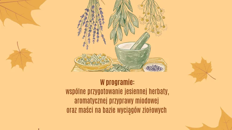 Herbata, miód i maść z ziół. Jesienny warsztat dla dorosłych w „Zielonej”