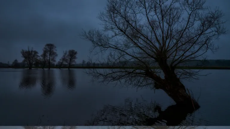 Wystawa "Impresje - jak?" Witolda Wernera dostępna do 23 maja 2025