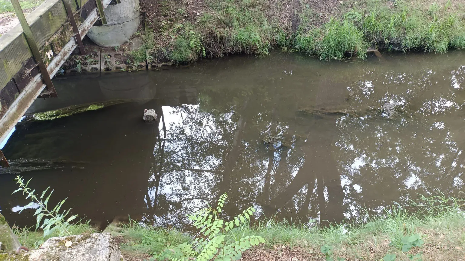 Zdjęcia do artykułu Toksyczny zapach nad Kanałem Wawerskim – Czy władze reagują wystarczająco szybko?