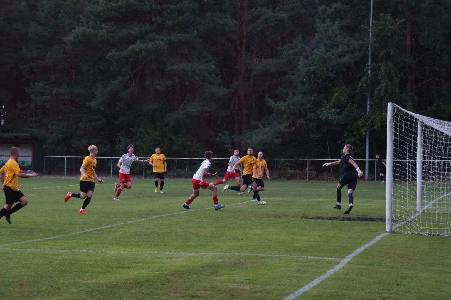 Zdjęcia do artykułu KS Wesoła przegrywa na wyjeździe z UKS Amur Wilga