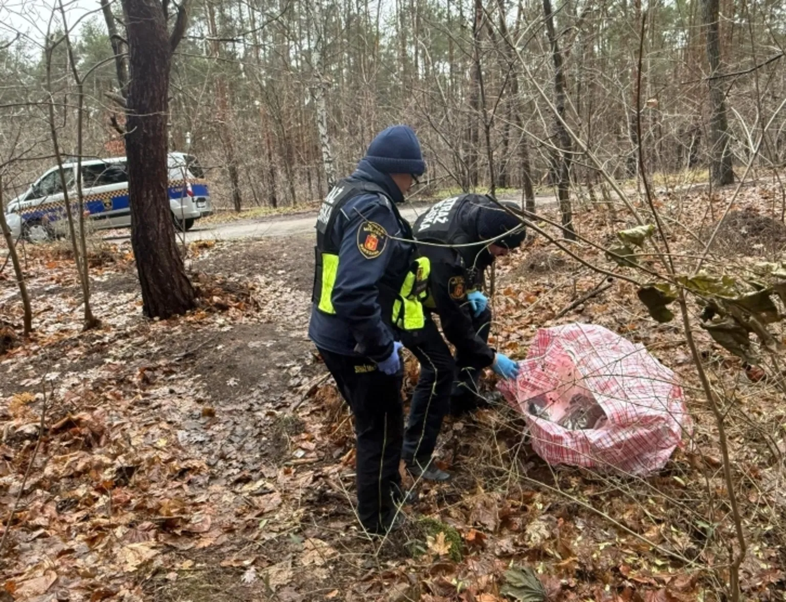 Blisko 700 gramów narkotyków znalezione w lesie – interwencja straży miejskiej i policji