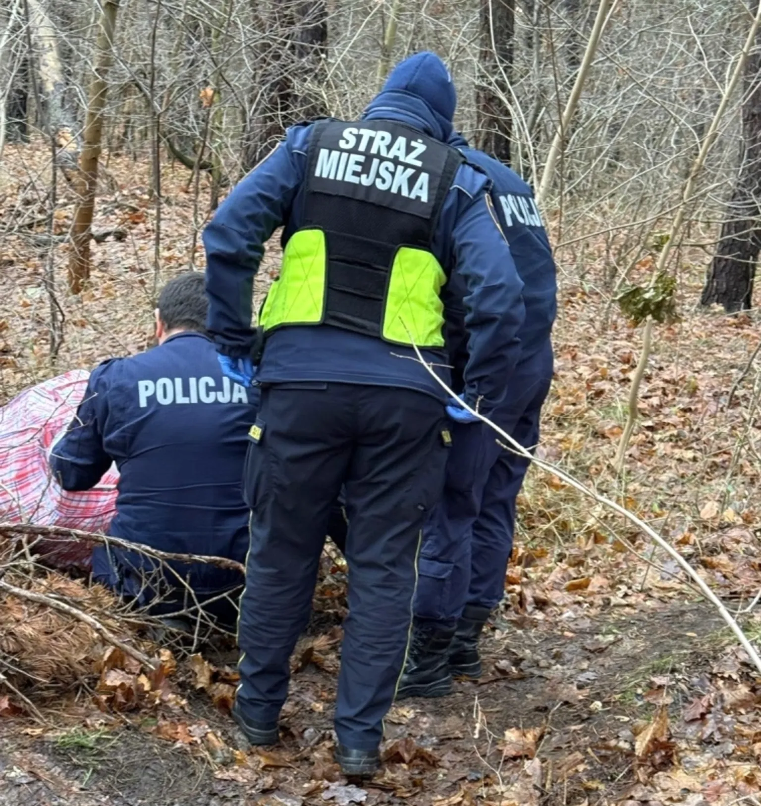 Blisko 700 gramów narkotyków znalezione w lesie – interwencja straży miejskiej i policji