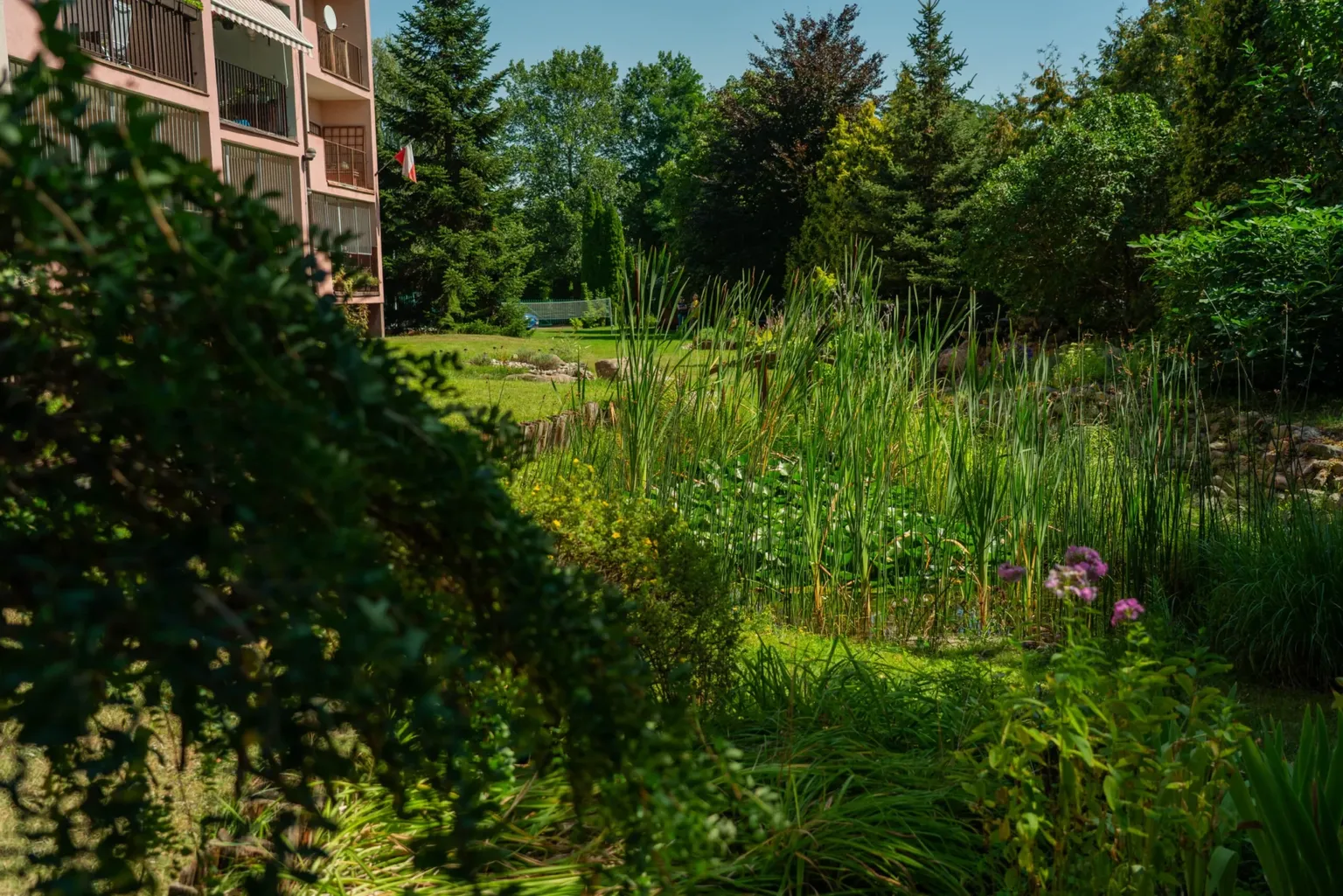 II miejsce – Pani Agata Glazer i Sąsiedzi z ul. Gościniec w Wesołej