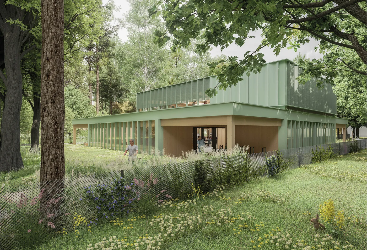 I nagroda - widok na wejście od strefy NGO