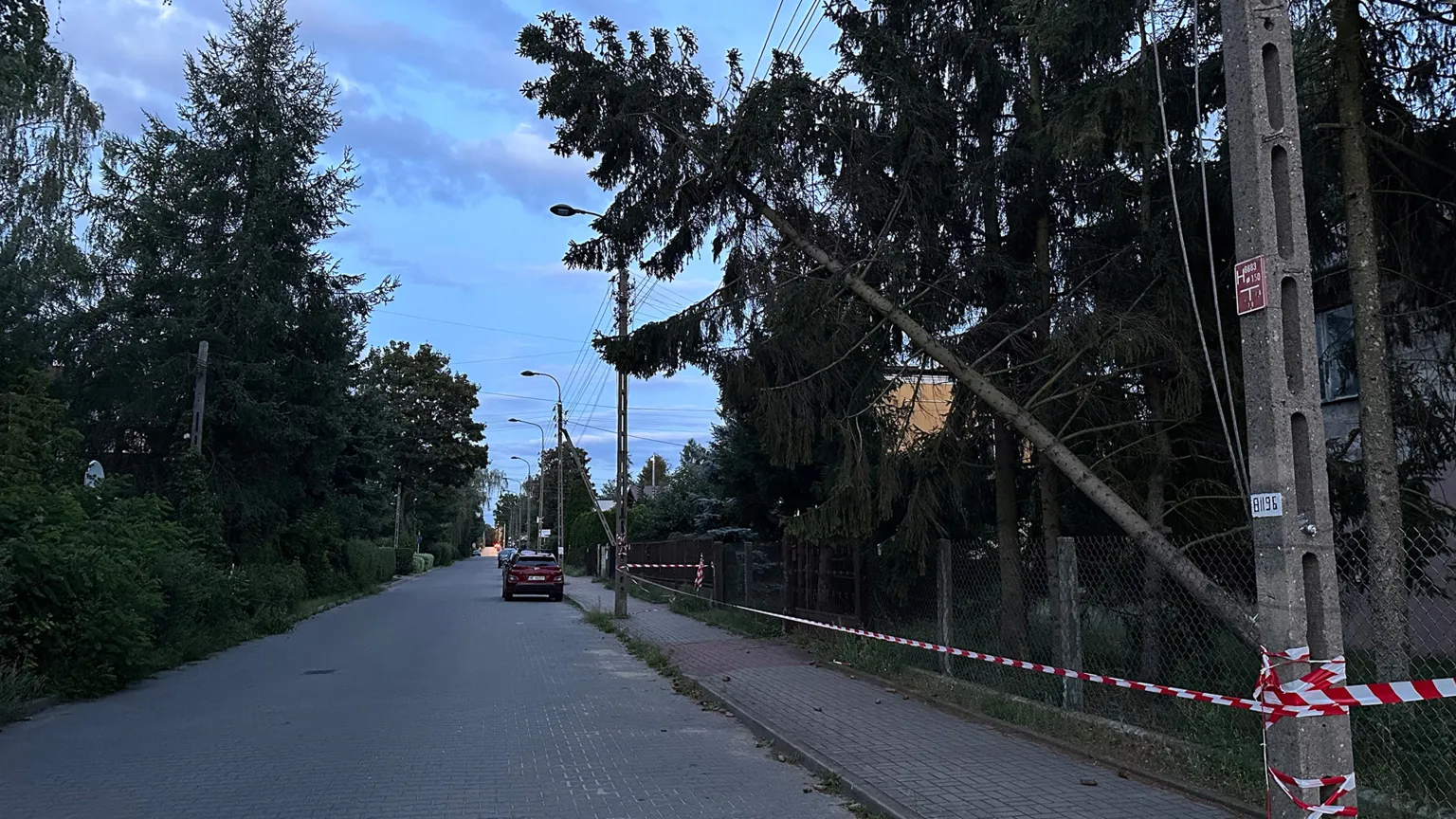 Wesoła drugą dobę bez prądu. Drzewo na Kilińskiego wisi na linii od soboty