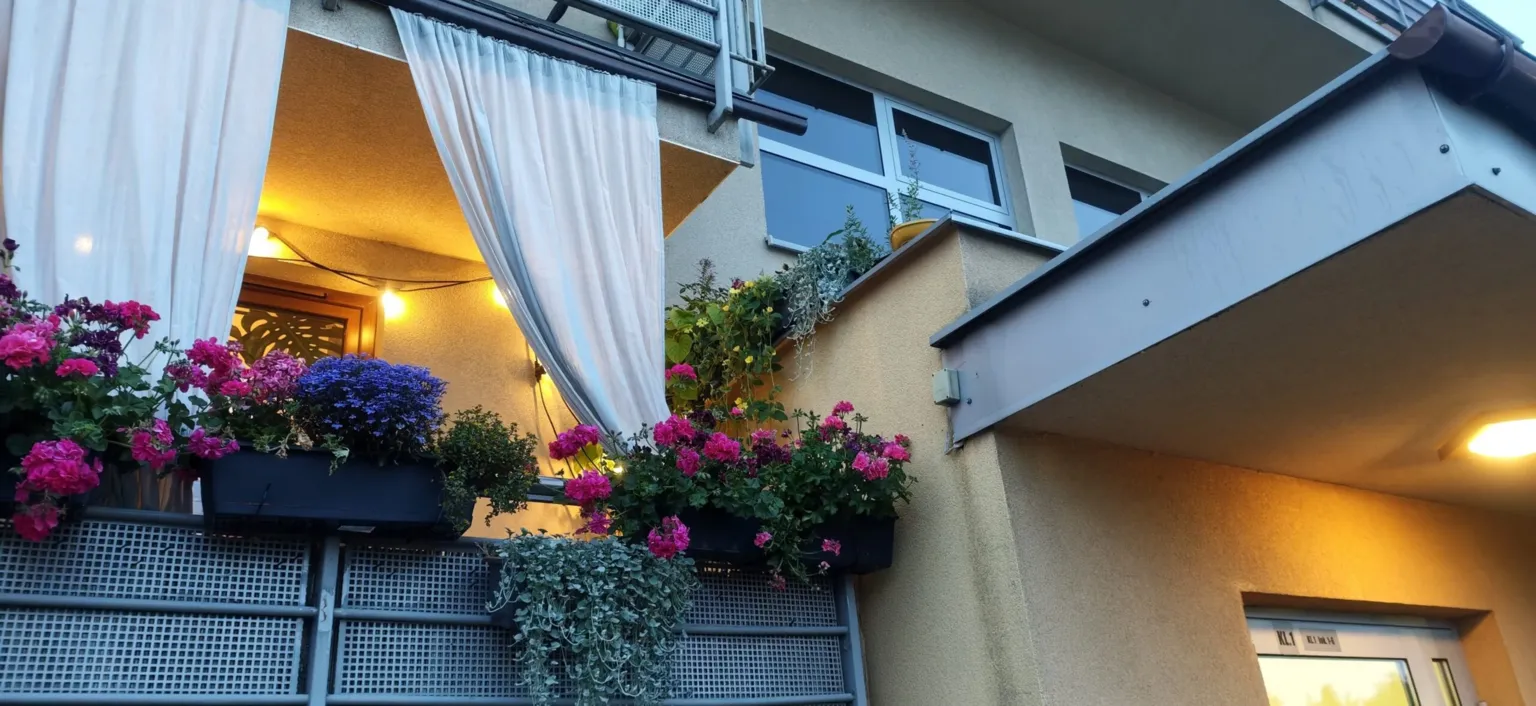 Balkon z Wesołej na podium konkursu „Warszawa w kwiatach i zieleni”