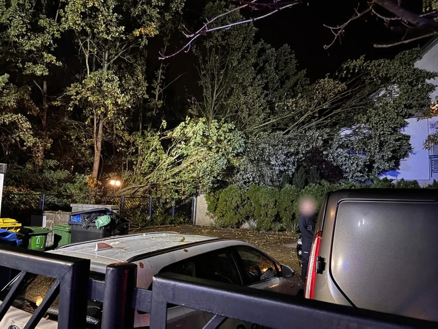 Drzewo zwalone z lasku nad parkingiem przy pierwszym budynku osiedla Akacjowa, 14 października 2026