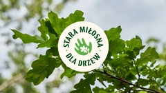 Zdjęcie do artykułu Inicjatywa Stara Miłosna dla Drzew: Walka o zieloną przyszłość naszej dzielnicy