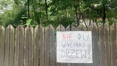 Zdjęcie do artykułu Ratujmy dęby na Jeździeckiej! Mieszkańcy Starej Miłosny przeciwko dużej inwestycji