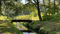 Zdjęcie do artykułu Pogarszająca się jakość wód Kanału Wawerskiego – wyniki badań WIOŚ