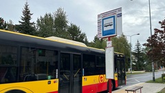 Zdjęcie do artykułu Przystanek Cieplarniana na żądanie: Nowe wiaty i plany ZTM w dzielnicy Wesoła