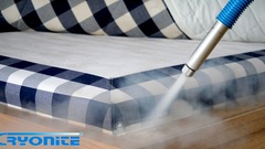 Zdjęcie do artykułu Co gryzie Cię w nocy? Oto jak skutecznie usunąć pluskwy w Warszawie – bez chemii i stresu