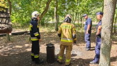 Zdjęcie do artykułu Wspólne patrole policji i strażaków w Wesołej – działania przeciwko pożarom w lasach