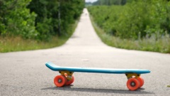 Zdjęcie do artykułu Rozbudowa Rolkostrady: Lasy dały zgodę, ZDM wybrał projektanta, Urząd Dzielnicy niezorientowany