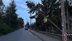 Wesoła drugą dobę bez prądu. Drzewo na Kilińskiego wisi na linii od soboty