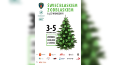 „Świeć blaskiem z odblaskiem” – choinka z odblaskami już wkrótce przed Urzędem Dzielnicy Wesoła
