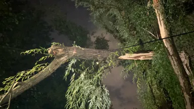 Zdjęcia do artykułu Nagła Burza nad Wesołą: Zalane Ulice i Przerwy w Dostawie Prądu [ZDJĘCIA]