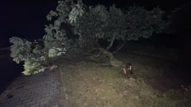 Zdjęcia do artykułu Nagła Burza nad Wesołą: Zalane Ulice i Przerwy w Dostawie Prądu [ZDJĘCIA]