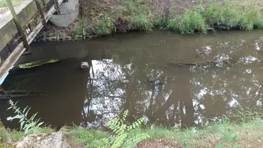 Zdjęcia do artykułu Toksyczny zapach nad Kanałem Wawerskim – Czy władze reagują wystarczająco szybko?