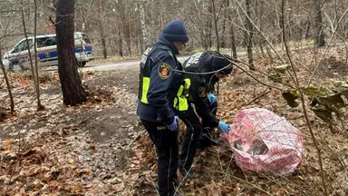 Zdjęcie do artykułu Blisko 700 gramów narkotyków znalezione w lesie – interwencja straży miejskiej i policji
