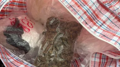 Blisko 700 gramów narkotyków znalezione w lesie – interwencja straży miejskiej i policji