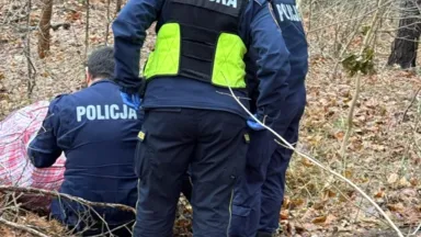 Blisko 700 gramów narkotyków znalezione w lesie – interwencja straży miejskiej i policji