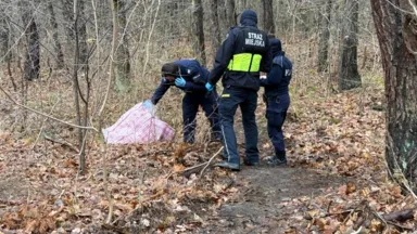 Blisko 700 gramów narkotyków znalezione w lesie – interwencja straży miejskiej i policji