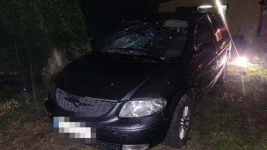 Brutalny rajd w Wesołej – 15 lat więzienia dla kierowcy, który polował na ludzi