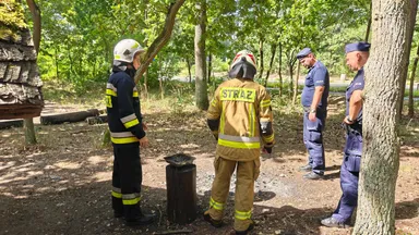 Zdjęcie do artykułu Wspólne patrole policji i strażaków w Wesołej – działania przeciwko pożarom w lasach