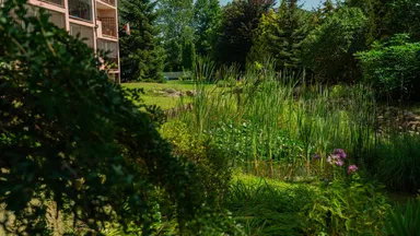 II miejsce – Pani Agata Glazer i Sąsiedzi z ul. Gościniec w Wesołej