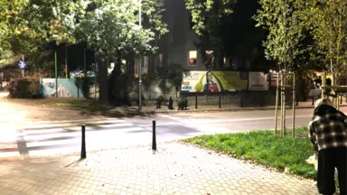 Uwaga, dziki przy poczcie na ul. Jana Pawła w Starej Miłośnie!