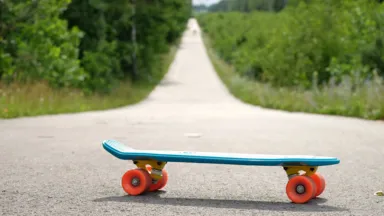 Zdjęcie do artykułu Rozbudowa Rolkostrady: Lasy dały zgodę, ZDM wybrał projektanta, Urząd Dzielnicy niezorientowany