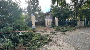 Gałęzie i taśma przy bramie osiedla Akacjowa, ul. Dworkowa, 15 października 2026