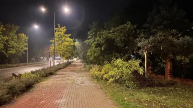 Złamane drzewo na rogu Dworkowej i Jana Pawła II, noc z 14 na 15 października 2026