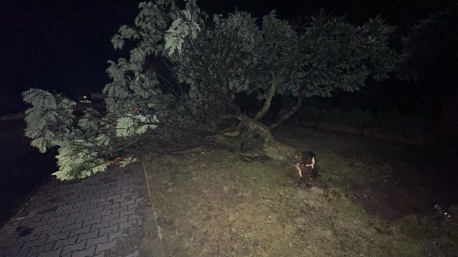 Zdjęcia do artykułu Nagła Burza nad Wesołą: Zalane Ulice i Przerwy w Dostawie Prądu [ZDJĘCIA]