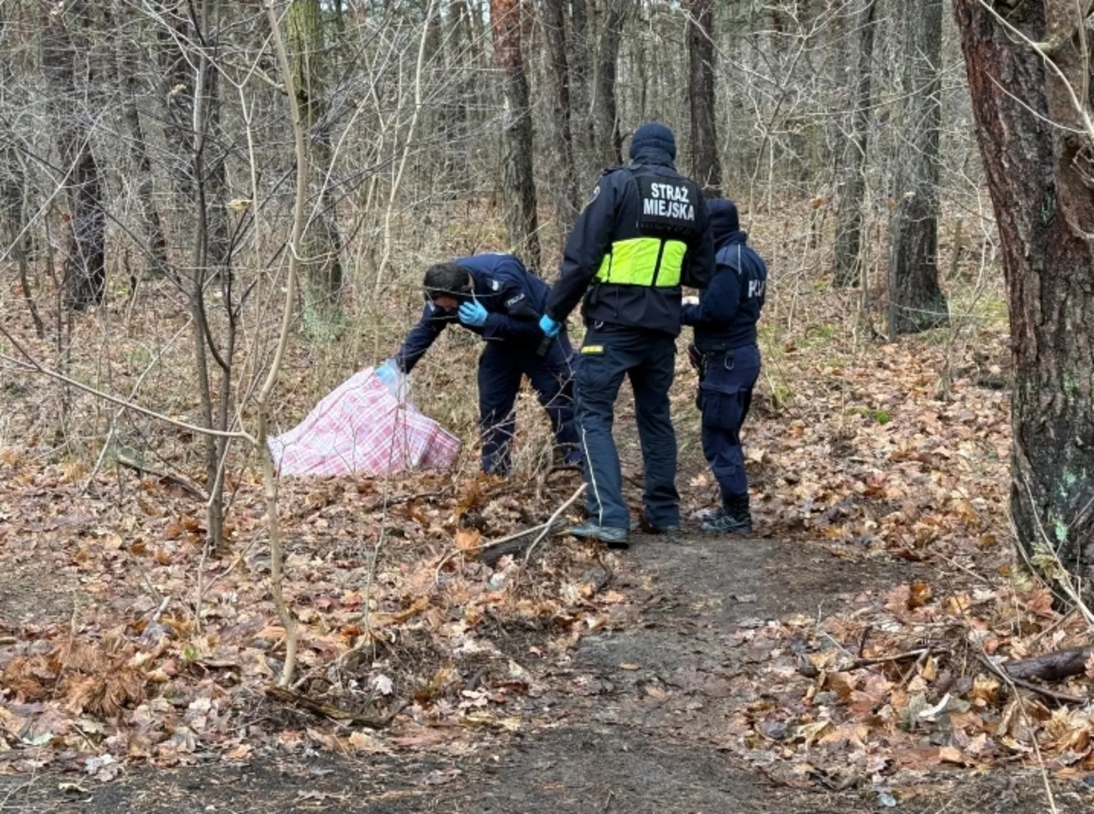 Blisko 700 gramów narkotyków znalezione w lesie – interwencja straży miejskiej i policji
