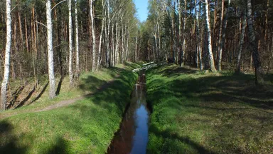 Zdjęcie do artykułu Chemiczny zapach nad Kanałem Wawerskim - trwają badania WIOŚ