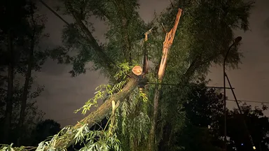 Zdjęcie do artykułu Nagła Burza nad Wesołą: Zalane Ulice i Przerwy w Dostawie Prądu [ZDJĘCIA]