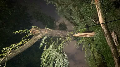 Zdjęcia do artykułu Nagła Burza nad Wesołą: Zalane Ulice i Przerwy w Dostawie Prądu [ZDJĘCIA]