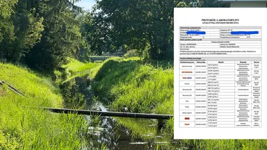 Zdjęcie do artykułu Poważne zanieczyszczenie Kanałku Wawerskiego – wyniki WWF alarmują