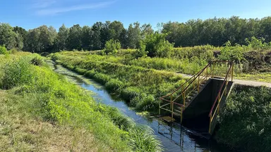 Zdjęcie do artykułu Zanieczyszczenie kanału Wawerskiego – walka o czystość wód trwa