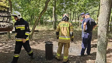 Wspólne patrole policji i strażaków w Wesołej – działania przeciwko pożarom w lasach