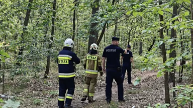 Wspólne patrole policji i strażaków w Wesołej – działania przeciwko pożarom w lasach