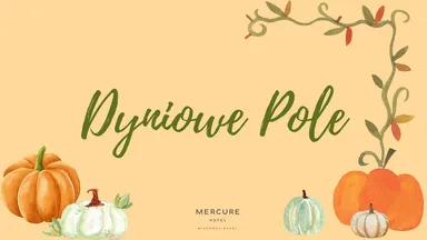Zdjęcie do artykułu Dyniowe Pole – Jesienna Przygoda dla Całej Rodziny w Wiązownie!