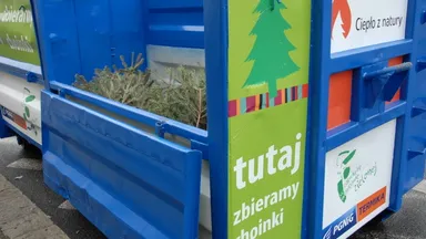 Zdjęcie do artykułu Ruszyła ekologiczna zbiórka choinek