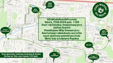 Zdjęcie do artykułu Wycieczka rowerowa śladami drzew