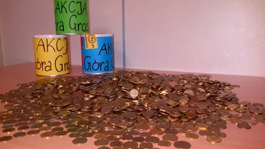 Zdjęcie do artykułu Szkolne Koło Wolontariatu SP 353