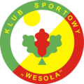 Zdjęcie profilowe Klub Sportowy Wesoła